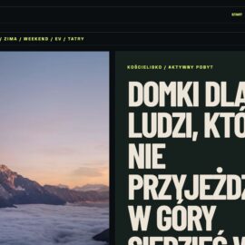 Alpejski Azyl – podglad strony