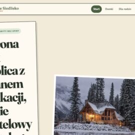 Sosnowe Siedlisko – podglad strony